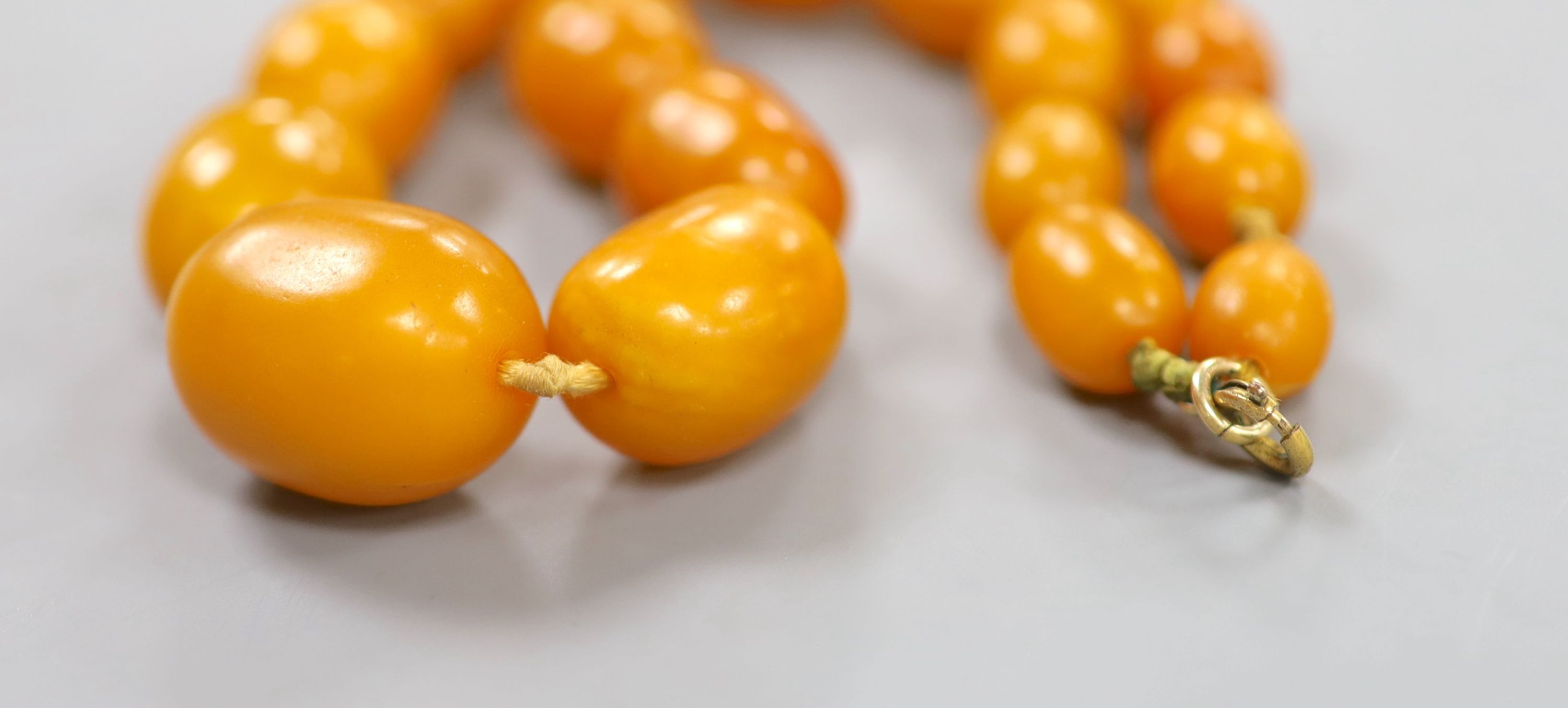 A single strand graduated oval amber bead necklace, 40cm, gross weight 41 grams.